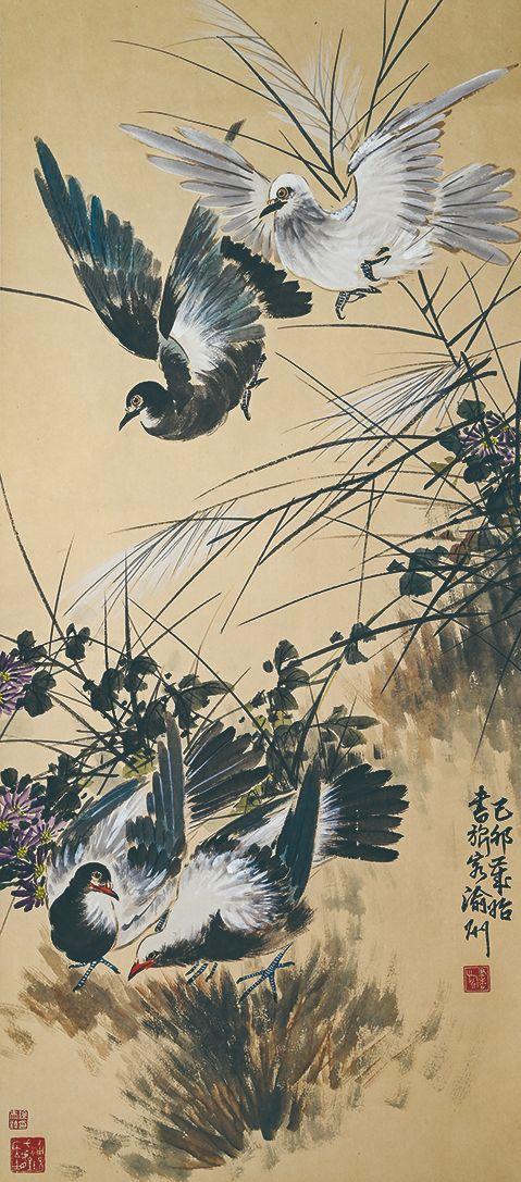 北京萬歷張書旗 鴿子