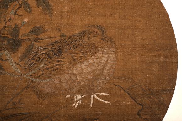 上海雅藏佚名 鵪鶉圖