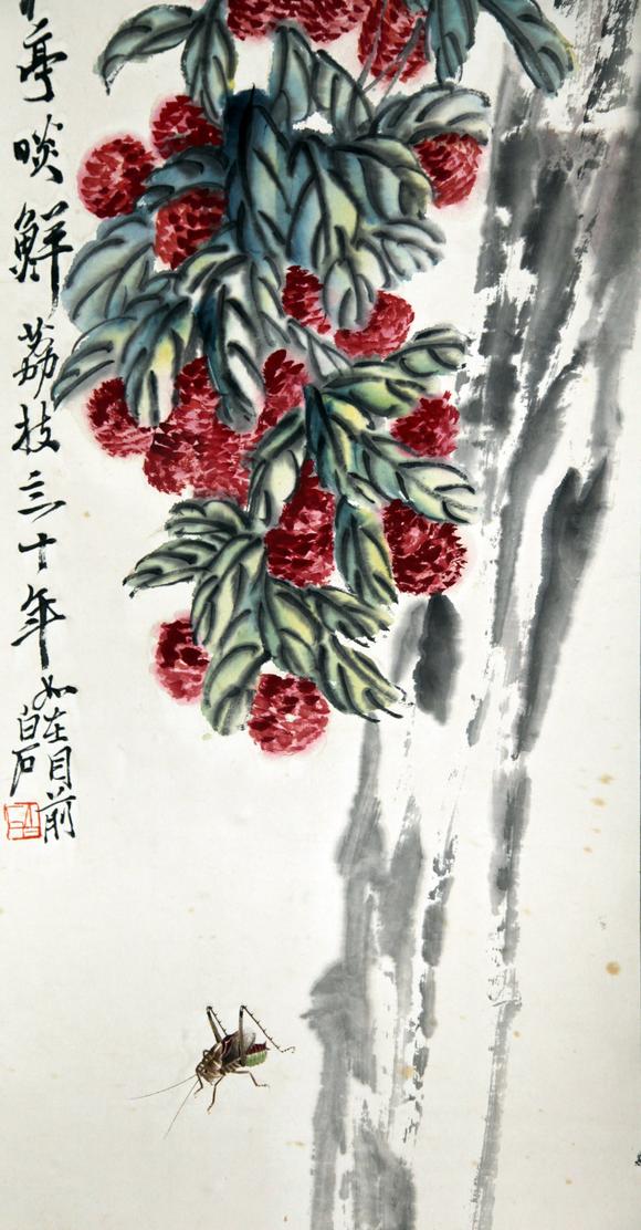 北京嘉翰荔枝
