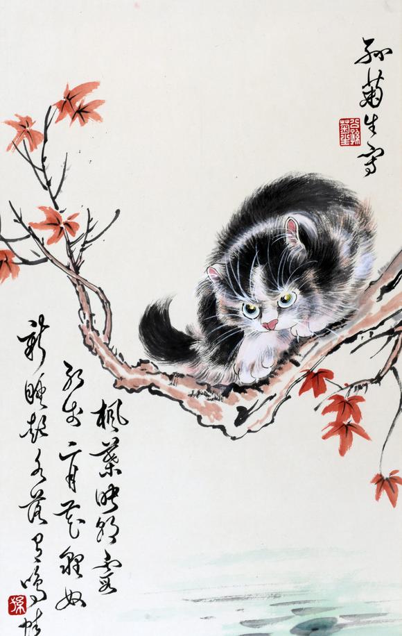 北京嘉翰貓 