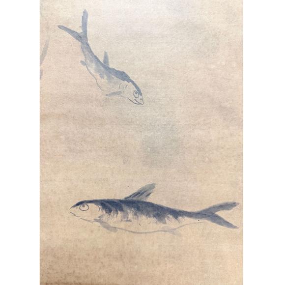 鐮倉(cāng)美術(shù)八大山人  魚鳥圖