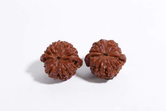 弘楊株式會(huì)社核桃（一對(duì)）