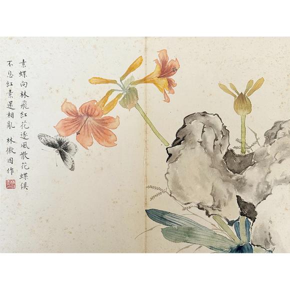鐮倉美術(shù)林徽因 花卉冊頁八開