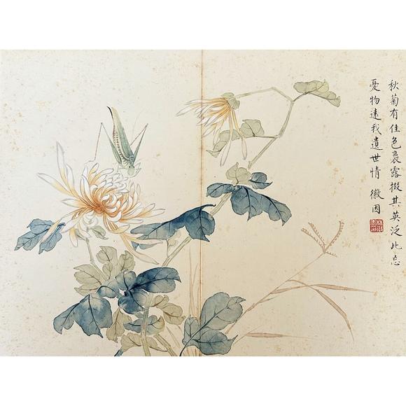 鐮倉美術(shù)林徽因 花卉冊頁八開