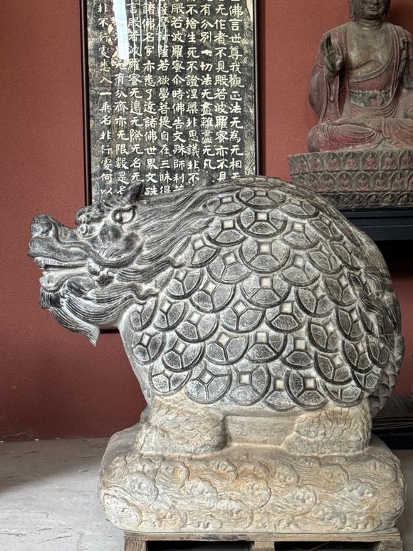 東京蕓術(shù)金錢龜