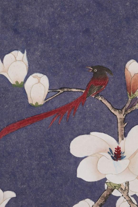 You Need於非闇 花鳥