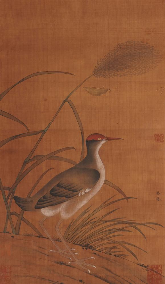 You Need林椿 花鳥