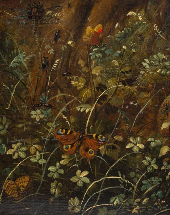Coronari Auctions BVOtto Marseus Van Schrieck (1619-1678): A pair of forest still lifes with butterflies and insects, oil on panel