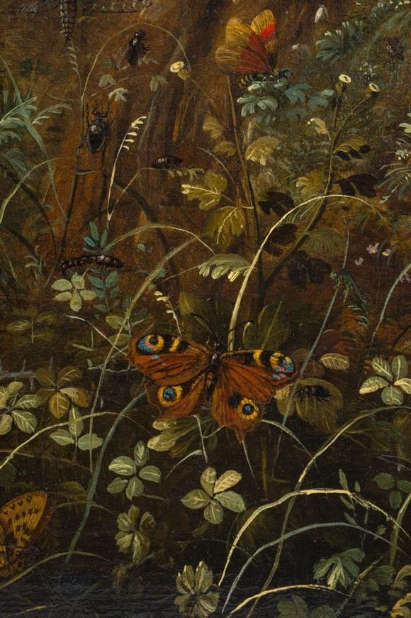 Coronari Auctions BVOtto Marseus Van Schrieck (1619-1678): A pair of forest still lifes with butterflies and insects, oil on panel