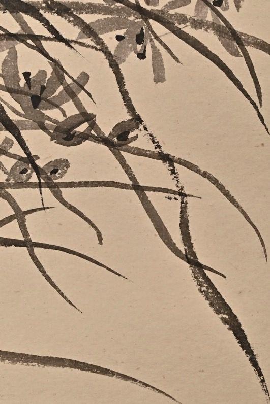 日本松町古美白蕉 空谷幽蘭圖