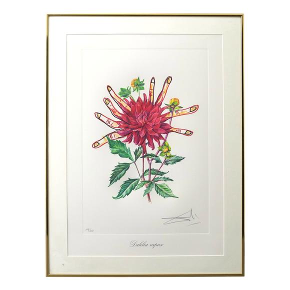 WettmannSalvador Dalí (1904 Figueres - 1989 Figueres) (F) 12 Radierungen