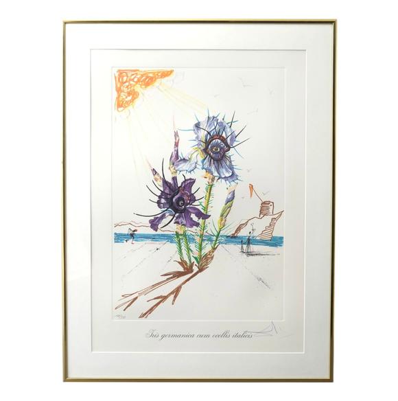 WettmannSalvador Dalí (1904 Figueres - 1989 Figueres) (F) 12 Radierungen