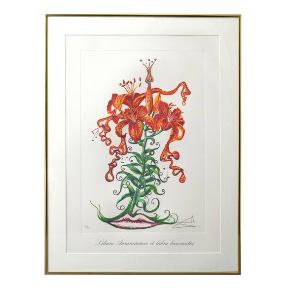 WettmannSalvador Dalí (1904 Figueres - 1989 Figueres) (F) 12 Radierungen