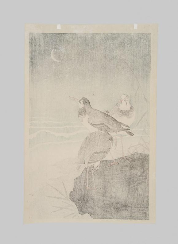 Galerie ZackeOHARA KOSON: PLOVERS AND WAVES