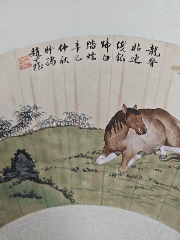 山東常藏馬