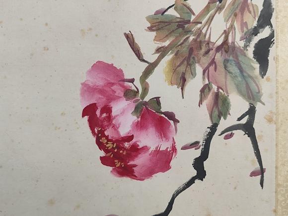 山東常藏花蝶