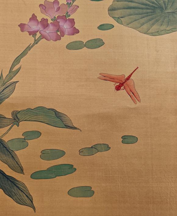 山東常藏荷花蜻蜓