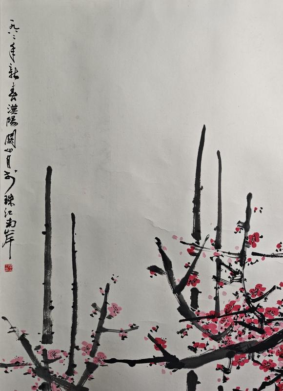 山東常藏紅梅