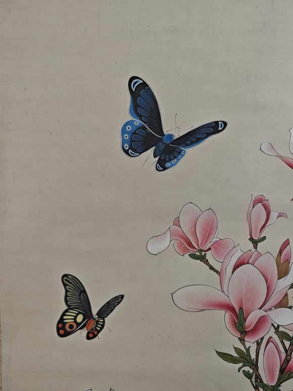 山東常藏花蝶