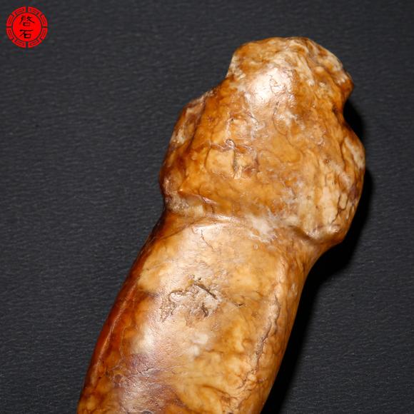 北京啟石明 玉蟬蛹