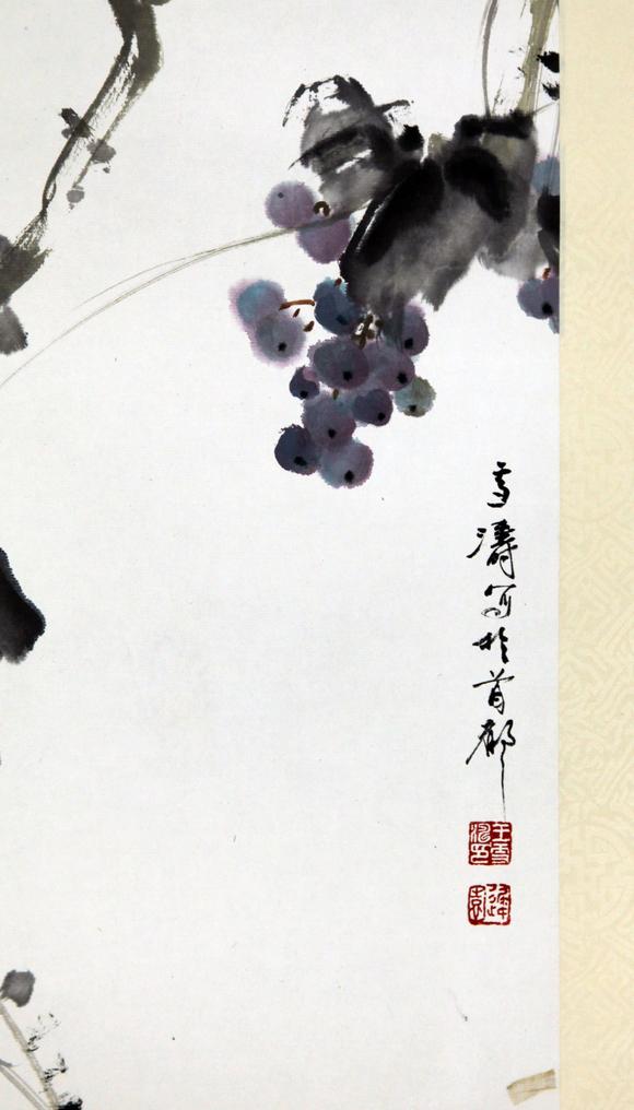 北京嘉翰八哥 