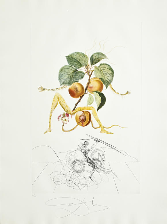 Piguet - H?tel des VentesSalvador Dali (1904-1989),  FlorDali - Les Fruits , 1969, 10 pointes-sèches et lithographies en couleurs, signées et numérotées 7/35