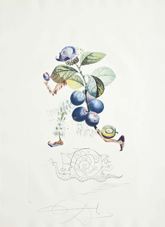 Piguet - H?tel des VentesSalvador Dali (1904-1989),  FlorDali - Les Fruits , 1969, 10 pointes-sèches et lithographies en couleurs, signées et numérotées 7/35