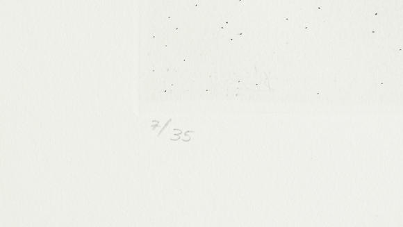 Piguet - H?tel des VentesSalvador Dali (1904-1989),  FlorDali - Les Fruits , 1969, 10 pointes-sèches et lithographies en couleurs, signées et numérotées 7/35