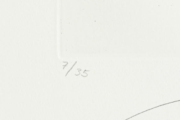 Piguet - H?tel des VentesSalvador Dali (1904-1989),  FlorDali - Les Fruits , 1969, 10 pointes-sèches et lithographies en couleurs, signées et numérotées 7/35