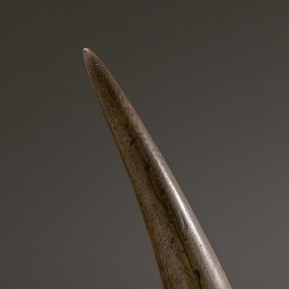 大阪美術(shù)商會天然置物