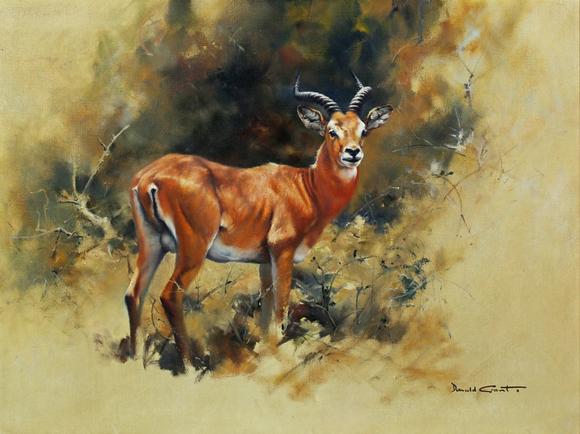 TooveysDonald Grant (British 1924-2001) - Impala in a landscape, oil on can