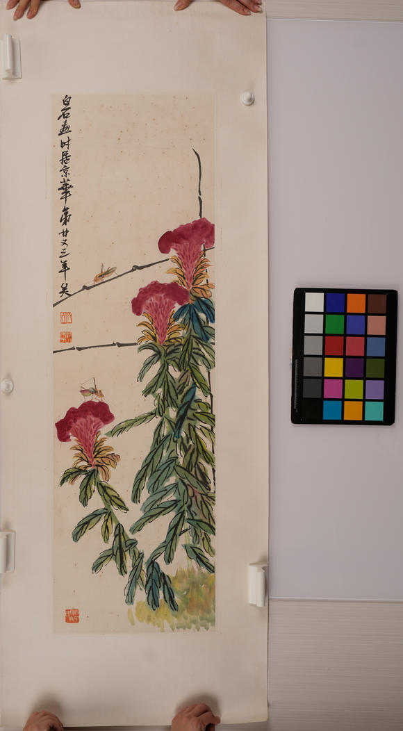 華岳國際齊白石  雞冠花