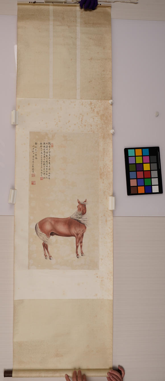 華岳國際載瀛  駿馬圖