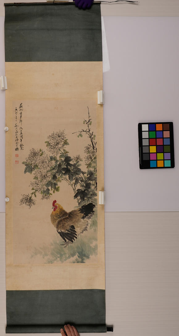 華岳國際喬木  生機圖