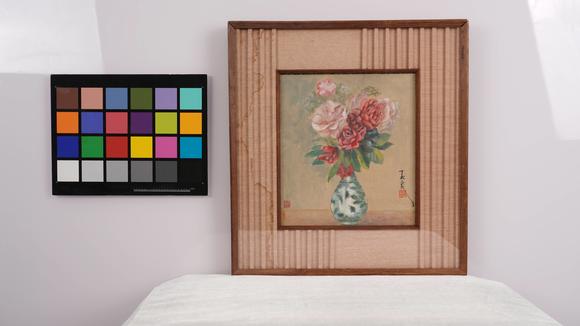 華岳國際潘玉良  花卉