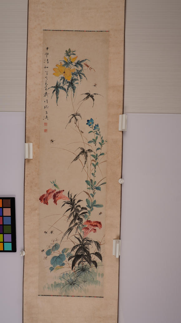 華岳國際王雪濤  花卉草蟲