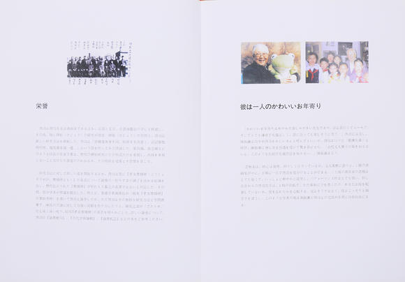 萬領(lǐng)國際啟功  書法