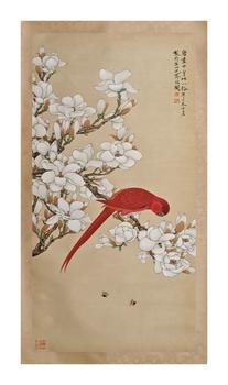 于非闇/金剛鸚鵡