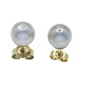 Cultured pearl stud earrings GG 585