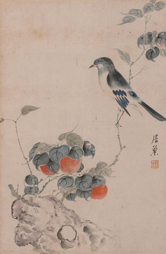華岳國際居巢  花鳥