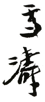 王雪濤