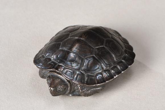 银龟寿图片