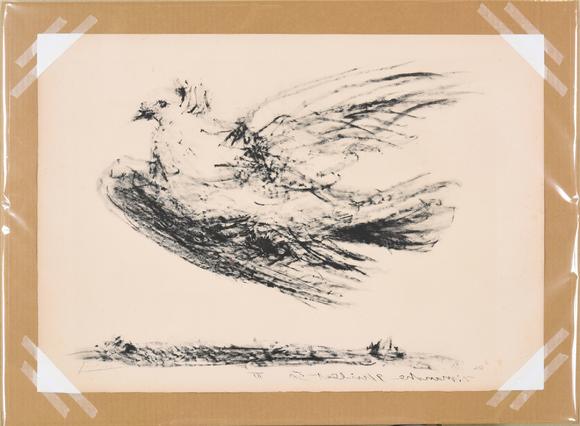 毕加索和平鸽版画