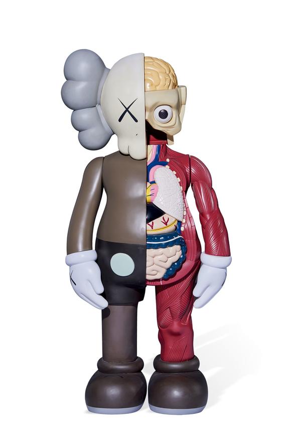 kawscompanion棕色解剖